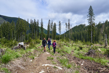 Fototapeta na wymiar Backpackers on a hiking trail