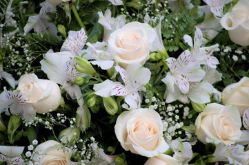 A bouquet of white roses	