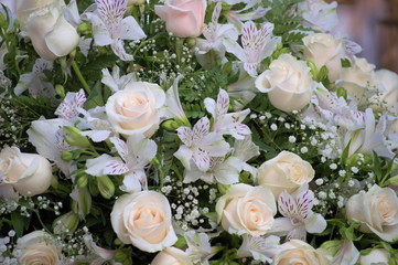A bouquet of white roses	