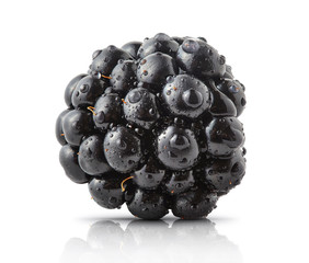 Fresh ripe juicy blackberry closeup isolated. Forest fruit tasty blackberry with water drops...