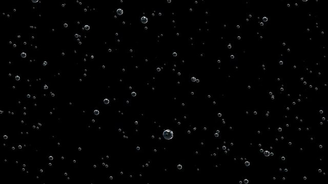 Bubbles of different sizes.Bubbles of champagne thin threads rise to the top.Champagne bottle is opened and sprinkled. Slow motion, black background.