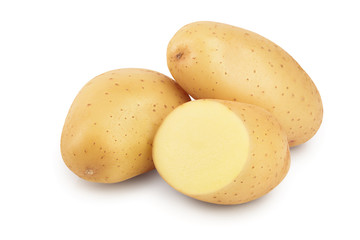 Young potato isolated on white background. Harvest new