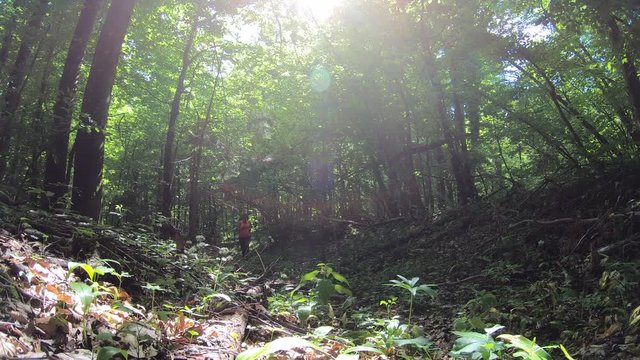 Overweight woman running up a sunny forest path