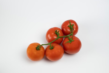 tomato on branch on white background