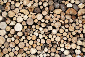 pile of wood background