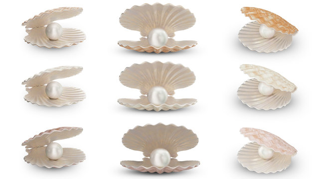 Set of sea shell with pearl inside. Collection gems, women's jewelry, nacre beads. For your banner, poster, logo. Set sea shells, shiny sea pearls isolated on white background, 3d illustration