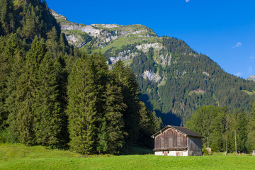 Alpine valley at summer. Swiss Alps .