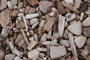 background of pebbles and driftwood on the beach