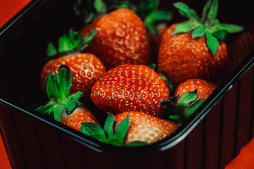 Fresh juicy strawberries with leaves in a black basket. Strawberry on a red background