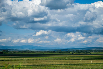 Farm Field with Cloudscape and Mountains