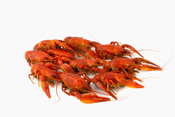 Tasty, boiled crawfishes of red color on a white background.