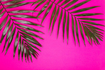 Green tropical palm leaves on pink background. Summer creative flat lay.