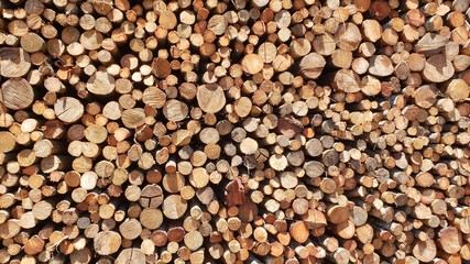 lenha empilhada