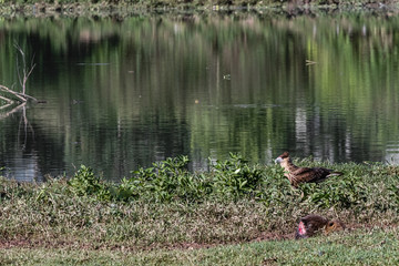 One's death meaning someone's else life 2