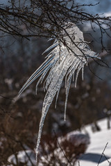 Wind formed icicles
