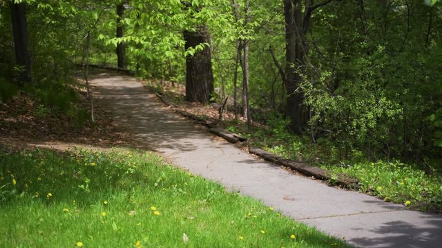 Sidewalk path surrounded by grass, trees, and plants in Ontario, Canada