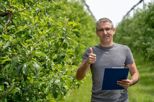 Smiling Farmer With Clipboard in an Orchard Giving Thumb Up
