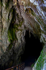 The entrance of a limestone cave 