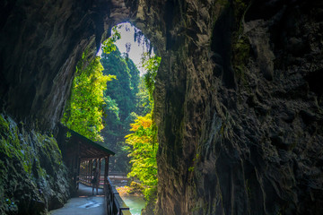 The entrance of a limestone cave 