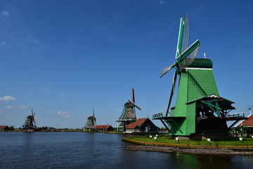 Naklejka premium Pearls Of Holland