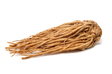Angelica root used in chinese traditional herbal medicine, over white background. Radix angelicae sinensis
