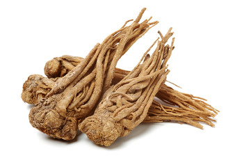 Angelica root used in chinese traditional herbal medicine, over white background. Radix angelicae sinensis