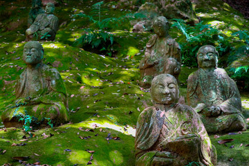 numerous old buddha statues  