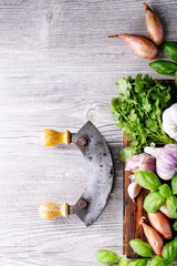 Fresh coriander and basil
