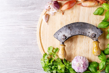Fresh coriander and basil