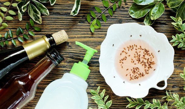 get rid of the kitchen midge. recipe home traps. add wine or wine vinegar in a bowl and a few drops of soap. set instead of clusters.