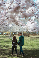Naklejka premium Young couple walking among cherry blossoms