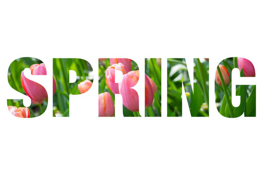 Word SPRING with nature images inside the letters, isolated on white background, concept of springtime