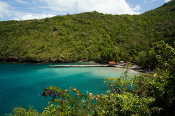 Obraz premium Anse Noire in Martinique