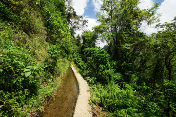 Fototapeta na wymiar Canal de Beauregard in Martinique