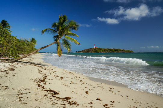 &Icirc;let Cabrits in Martinique