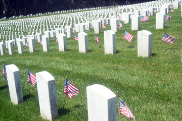 presidio cemetery san francisco memorial day