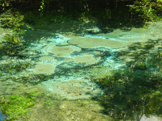 Sucuri river water surface, crystal clear, transparent blue river, suitable for diving and snorkeling, in Bonito, Mato Grosso do Sul, Brazil                                 