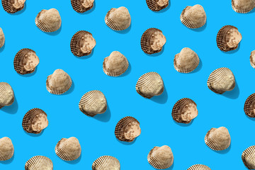 Sea shell pattern on blue. Summer minimalistic background. Top view, flat lay