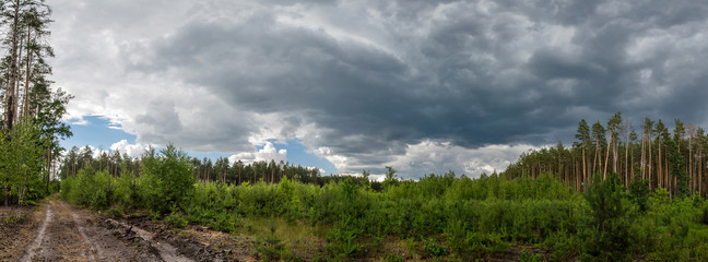 Fototapety na wymiar - Fototapeta24.pl