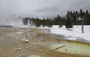 Silex Spring in Lower Geyser Basin in Yellowstone National Park in Winter