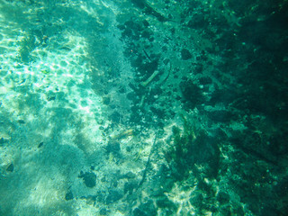  Underwater view with water plants at Sucuri river in Bonito, Mato Grosso do Sul, Brazil                              