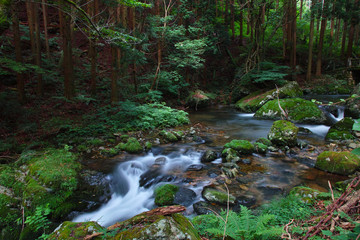 Obraz premium 鏡野・白賀渓谷