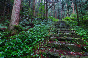 山乗渓谷・不動滝
