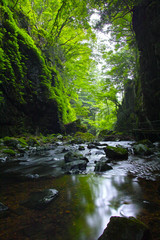 Obraz premium 山乗渓谷・不動滝