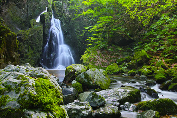 山乗渓谷・不動滝