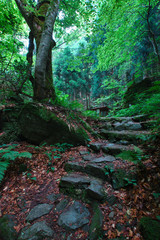 山乗渓谷・不動滝