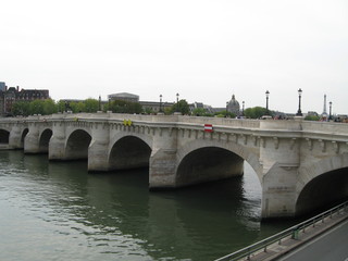 Fototapeta premium Pont Neuf