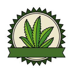 cannabis plant leafs nature frame