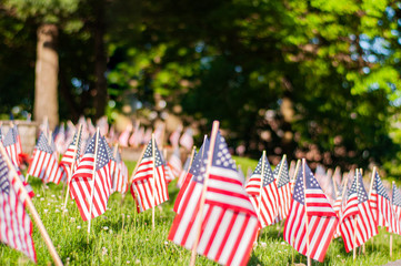 Memorial Day.  Small American flags on a green grass in park.