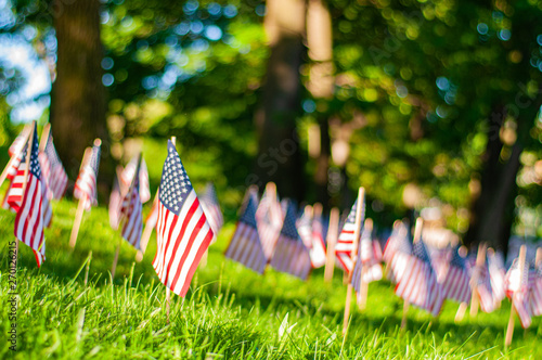 Memorial Day.  Small American flags on a green grass in park.